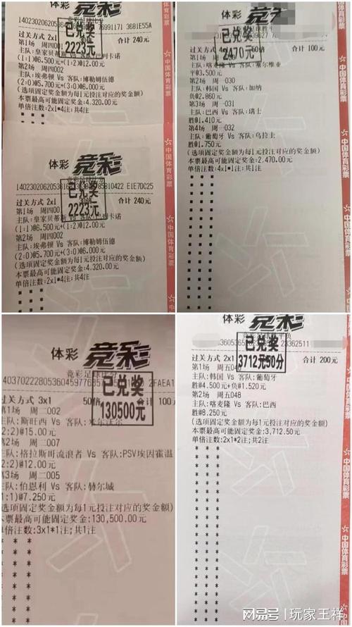 鲁能近年来